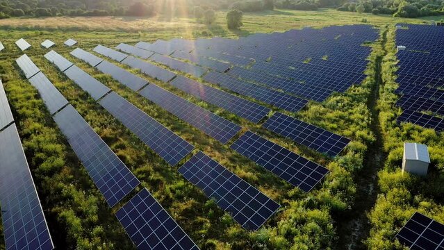 Aerial view of power station of solar panels on the green field in sunset.