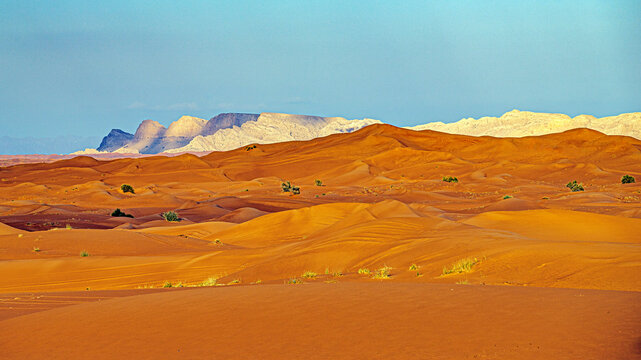 emirates desert and camels in dubai © Olivier