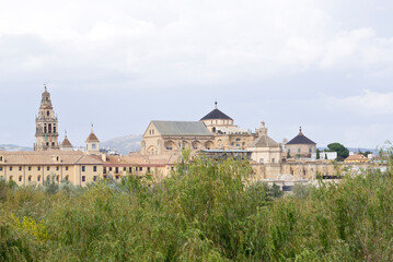 Fototapeta na wymiar Mezquita de Córdoba, Córdoba, Andalusia, Spain