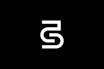 Creative and professional initial letter S a logo design template on black background
