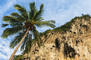 Fototapeta na wymiar Scenic view of palm tree and limestone cliffs on a beach in Thailand