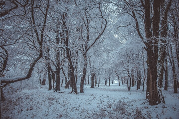 Winter is enchanting with its snow, the crunch of frost, covered the villages and towns.