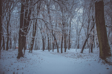 Winter is enchanting with its snow, the crunch of frost, covered the villages and towns.