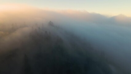 Aerial view of moody landscape above foggy forest with pine trees covering mountain hills at sunset