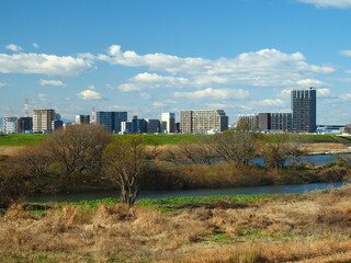 Fototapeta na wymiar 千葉県側の江戸川土手から見る冬枯れの河川敷と対岸のマンション群風景