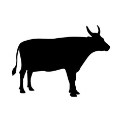 Bull Animal Silhouette