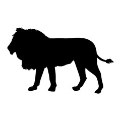 Lion Animal Silhouette