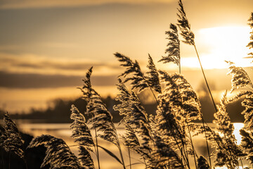 Nord Ostsee Kanal, Sonnenuntergang am Kiel Kanal. Der Kanal verbindet die Nordsee mit der Ostsee und verläuft durch ganz unterschiedliche Landschaften.