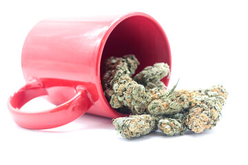 cannabis buds inside a cup of coffee on white background