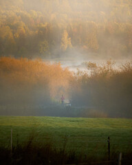 jogger in the morning mist of autumn near a lake with trees turning yellow