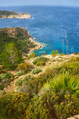 beautyful shot of the western coast of Mallorca from the Tramontane long distance hiking trail in spring