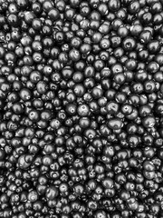 Black and white background of shiny peas, texture. Black peas background. Street vegetable market. Black and white photo.
