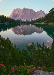 Wettersteinmassiv gesehen von der Seeebensee bei Ehrwald bei Dämmerung mit Alpenglühen und kristallklarem Wasser mit Spiegelung, latschen, Österreich, Alpen