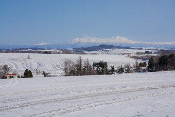 融雪剤が撒かれた雪の畑と山並み　大雪山
