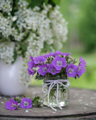 Still life with spring colorful flowers in the garden. Spring still life