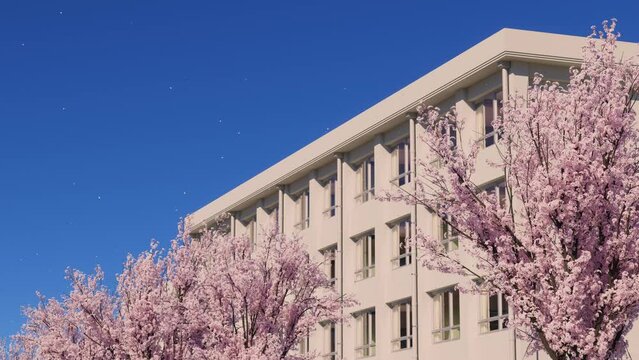 青空に舞う桜の花びらと学校の校舎 / 学園ロケーション・卒業と入学・春の新生活のコンセプトイメージ / 3Dレンダリング