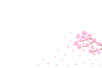 舞い散る桜の花びら。日本の春の象徴。