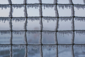 Mesh in the snow