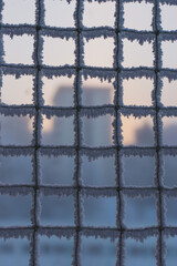 Mesh in the snow