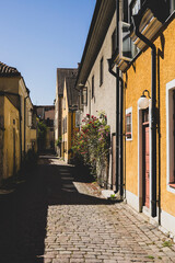 narrow street in the town