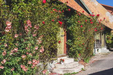 Porch with red roses and pink flowers 