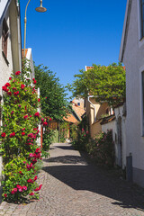 street in the old town