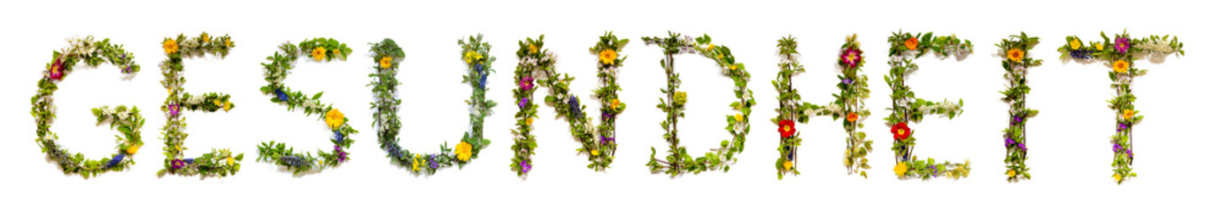 Blooming Flower Letters Building German Word Gesundheit Means Health