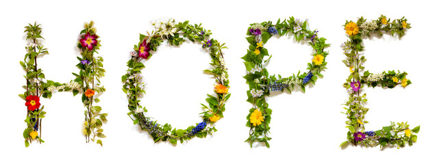 Blooming Flower Letters Building English Word Hope