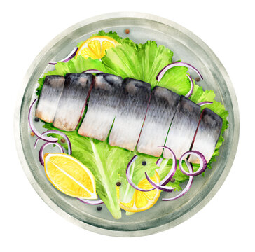 Herring with pepper, herbs and lemon on plate. Watercolor illustration