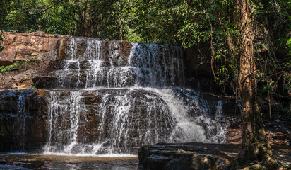 Fototapeta premium waterfall in the park