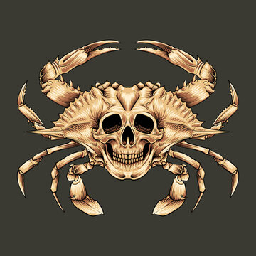Skull head crab logo premium