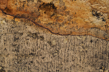 Concrete flat surface with a texture.