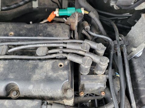 Ford fiesta engine ignation cables with marten bite / Ford Fiesta mit Maderbiss an den Z&uuml;ndkabeln