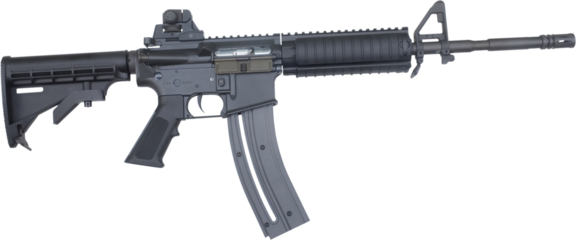 Rimfire semi auto rifle that looks like an AR