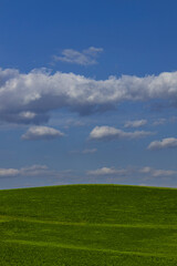 Green Field - Clouds