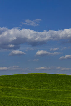Green Field - Clouds