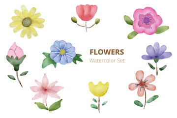 Set of flowers, hand drawn watercolor illustration isolated on white background.