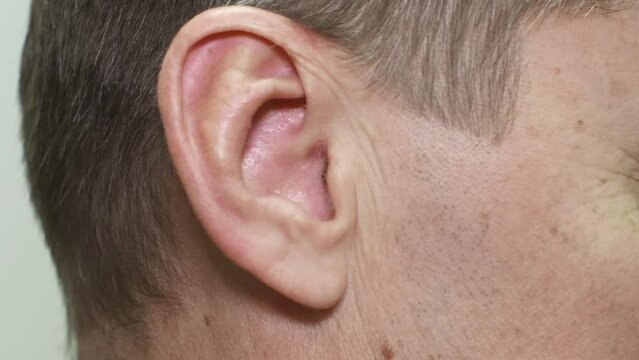 Right ear of middle aged caucasian man, close-up view. Problem of perception, deafness, human hear concept. The part of the body responsible for hearing and perceiving sounds.