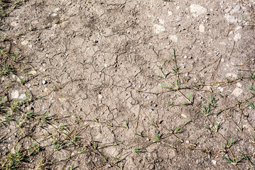 Dry field with natural texture of cracked clay