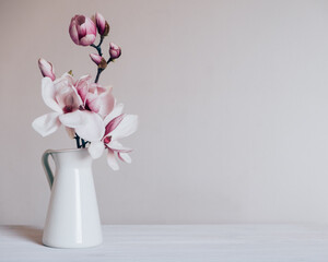 Beautiful fresh branches of magnolia flowers in full bloom in vase against white background....