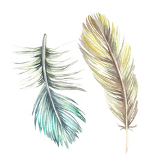 Bird feathers blue and yellow. Watercolor illustration. Isolated on a white background. For boho style prints, stickers, vintage postcards