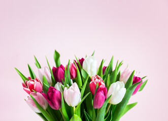 Beautiful romantic bouquet of pink and white tulips on a pale pink background.