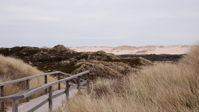 Duenen Landschaft auf Sylt an der Nordsee