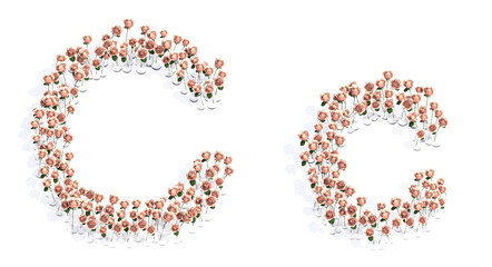 Concept or conceptual set of beautiful blooming pink roses bouquets forming the font C. 3d illustration metaphor for education, design and decoration, romance and love, nature, spring or summer.