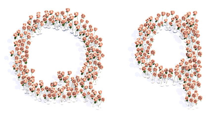 Concept or conceptual set of beautiful blooming pink roses bouquets forming the font Q. 3d illustration metaphor for education, design and decoration, romance and love, nature, spring or summer.