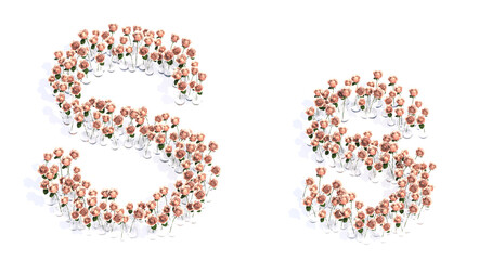 Concept or conceptual set of beautiful blooming pink roses bouquets forming the font S. 3d illustration metaphor for education, design and decoration, romance and love, nature, spring or summer.