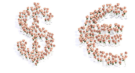 Conceptual set of beautiful blooming pink, roses bouquets forming the euro  and dollar signs. 3d illustration metaphor for education, design and decoration, romance and love, nature, spring or summer.