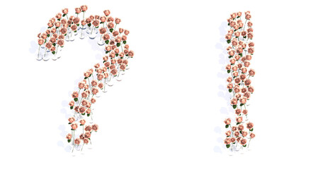 Concept conceptual set of beautiful blooming pink, roses bouquets forming the ? and ! signs. 3d illustration metaphor for education, design and decoration, romance and love, nature, spring or summer.