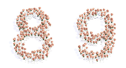 Concept conceptual set of beautiful blooming pink roses bouquets forming the fonts  8 and 9. 3d illustration metaphor for education, design and decoration, romance and love, nature, spring or summer.