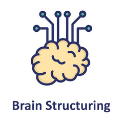 Brain, brain structuring Vector Icon
